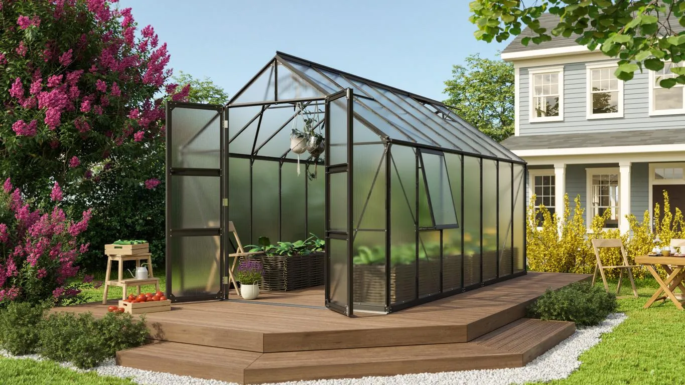 Olymp 11500 HKP6mm, schwarz