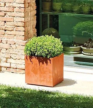 Pflanzk&uuml;bel Millennium 25 cm