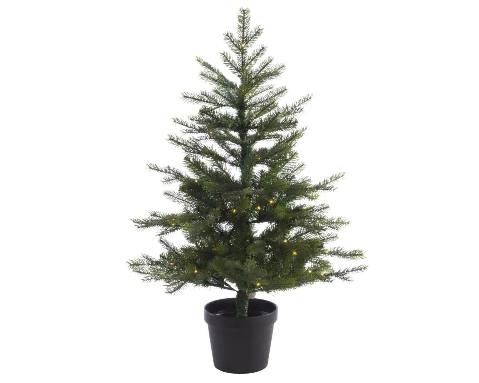Grandis/Topf Micro aus bo6F/T