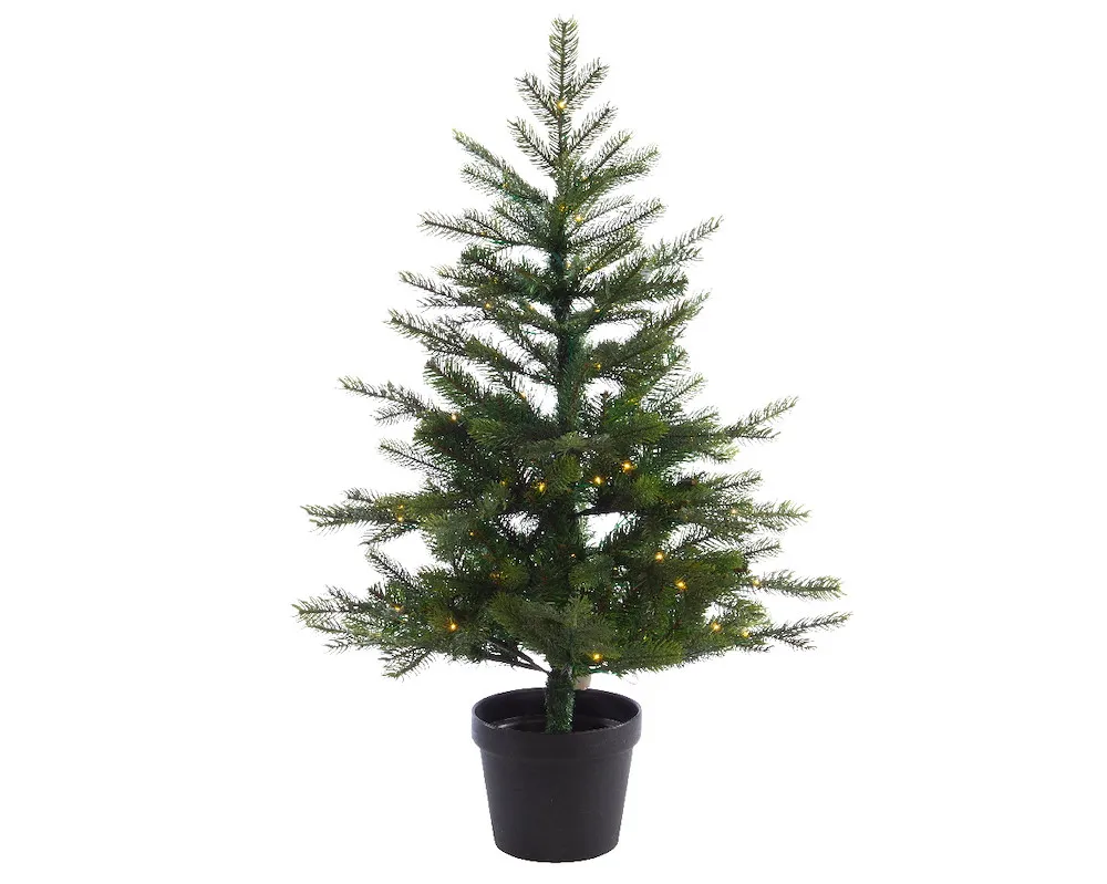 Grandis/Topf Micro aus bo6F/T