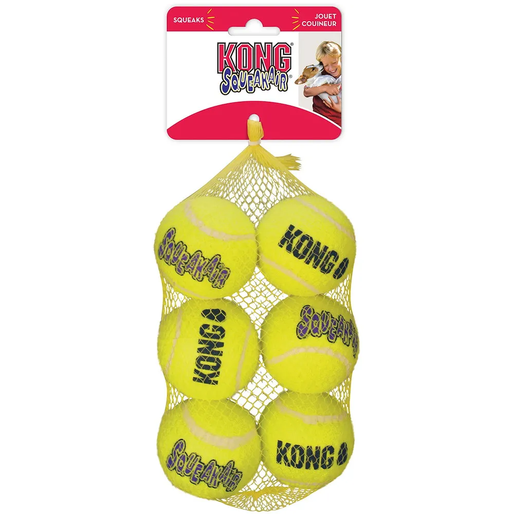 Hundespielzeug KONG