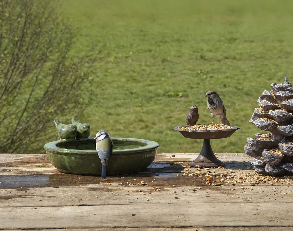 Vogeltr&auml;nke Keramik rund