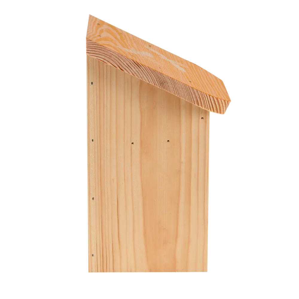 Diapositives Bienenhaus
