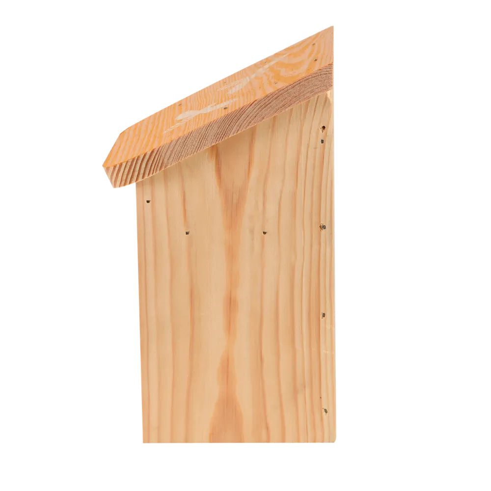 Diapositives Bienenhaus
