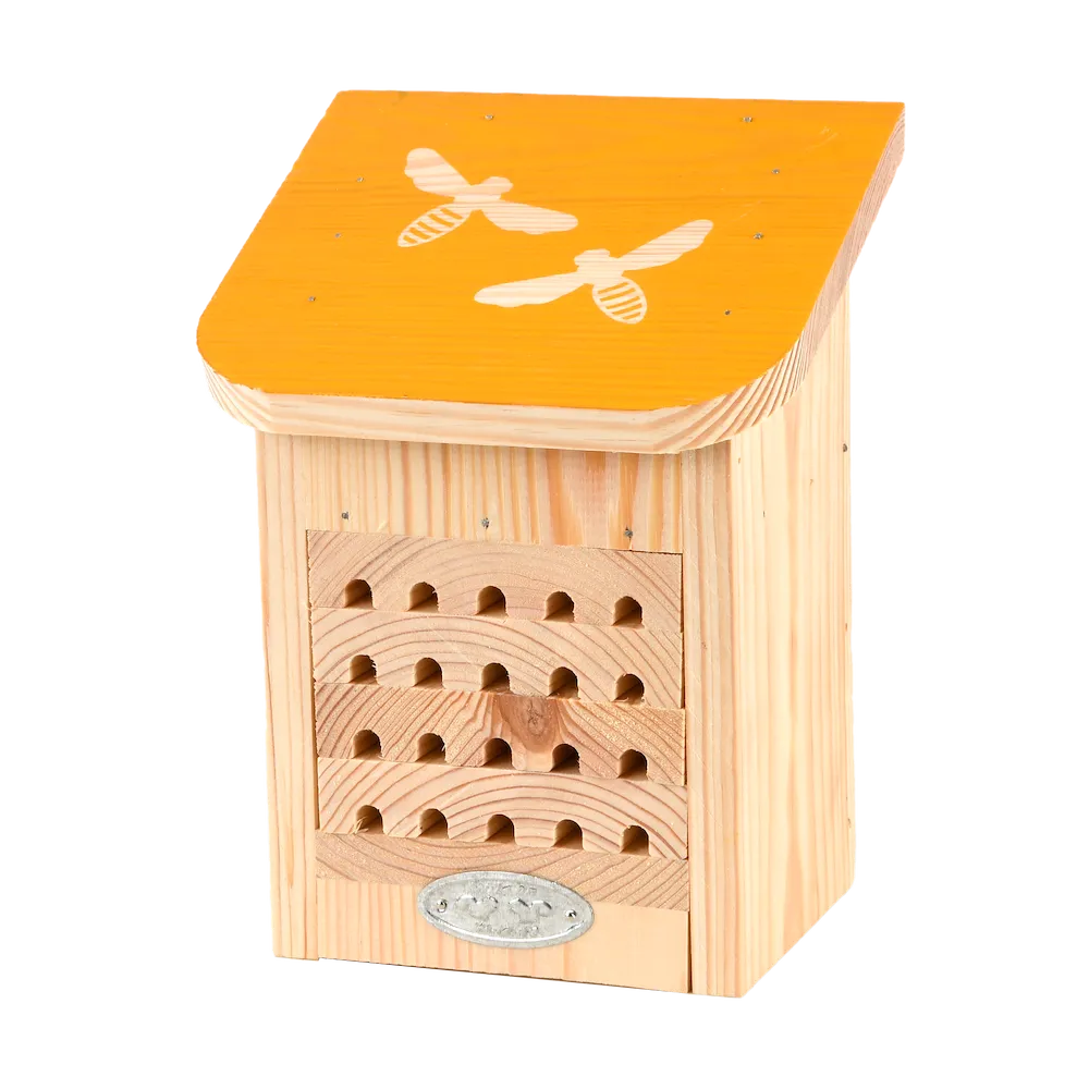 Diapositives Bienenhaus