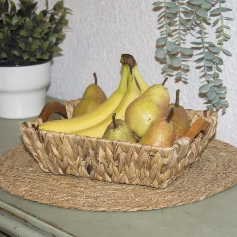 Schale rechteck., mit 2 Griffe Wasserhya