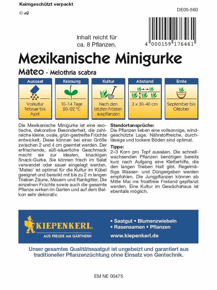 Mexi. Minigurke