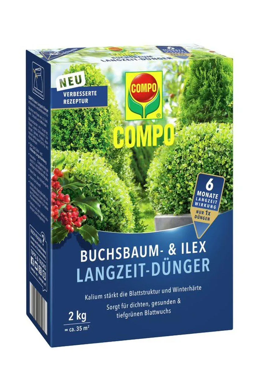 COMPO Buchsbaum- und Ilex
