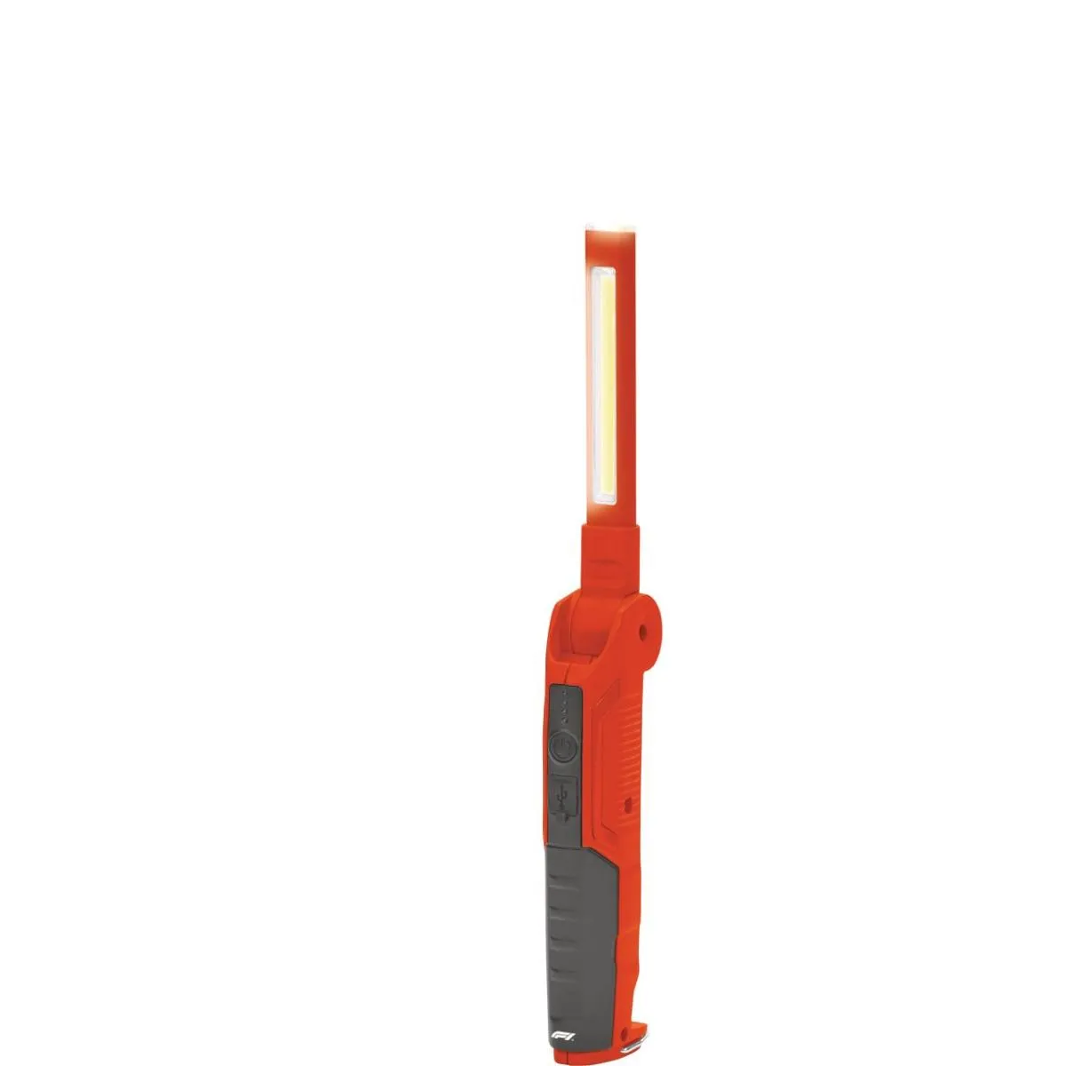 F1 Inspectionlight WL500