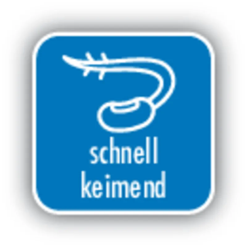 PROFI 5in1 Rasenreparatur