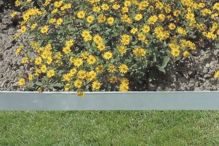 Rasen-,Beet-u.Trennkante