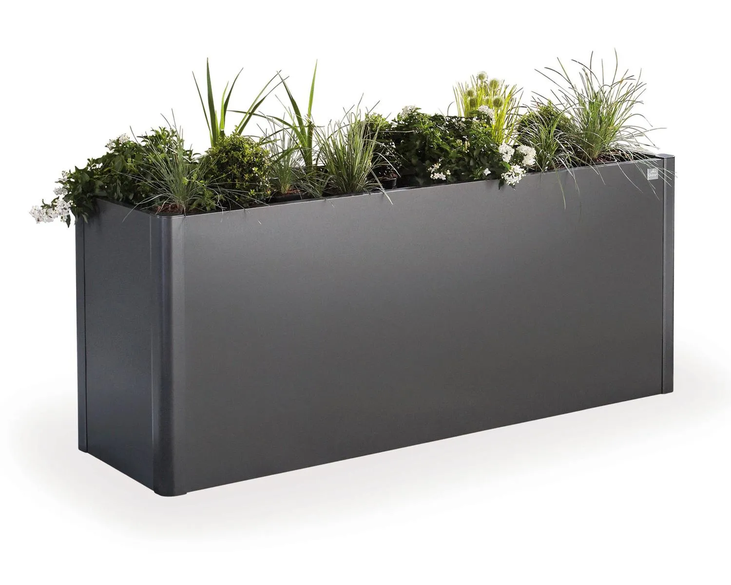 Pflanzbeet Belvedere MAXI Gr.