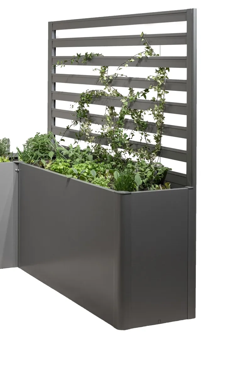 Rankgitter (1 Stk) f&uuml;r 1,5m