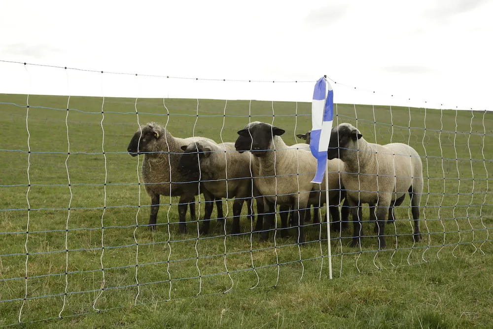 OviNet Maxi, wei&szlig;/blau,