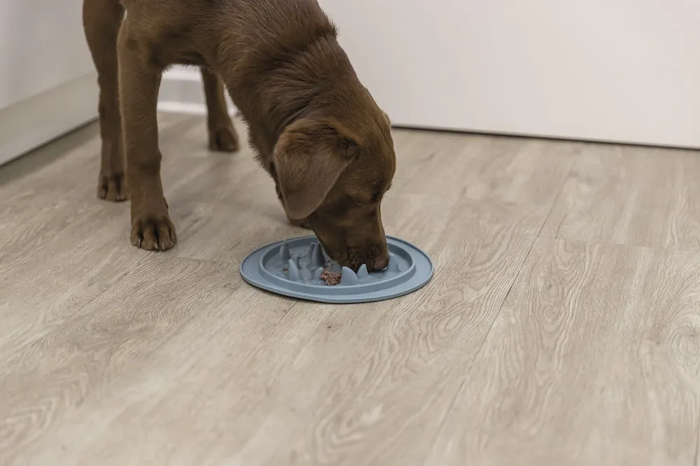 Slow Feeding Matte, TPE