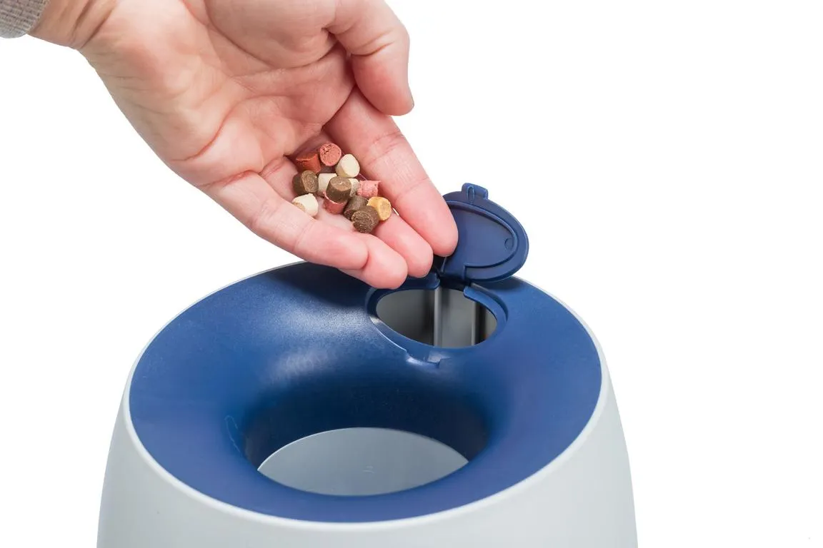 Dog Activity Strategie-Spiel