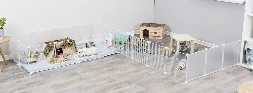 Indoor Freilaufgehege, Metall/