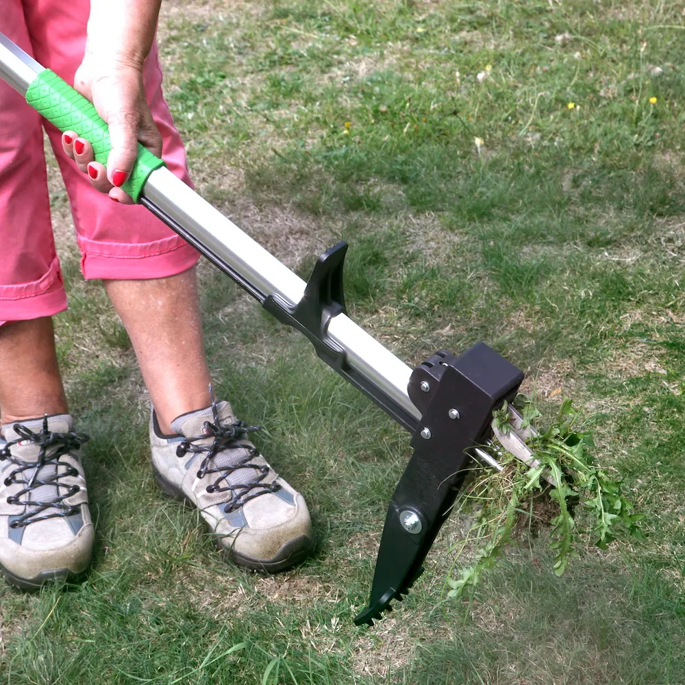 Unkrautstecher Premium