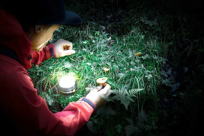 Akku LED Outdoor Leuchte