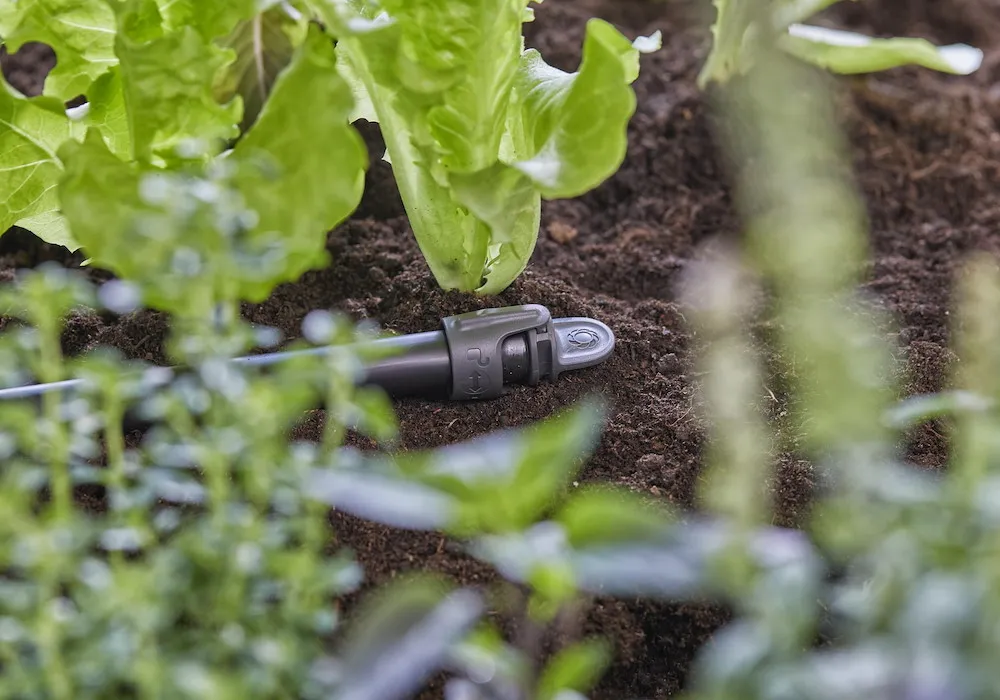 Micro-Drip-System Verschluss-