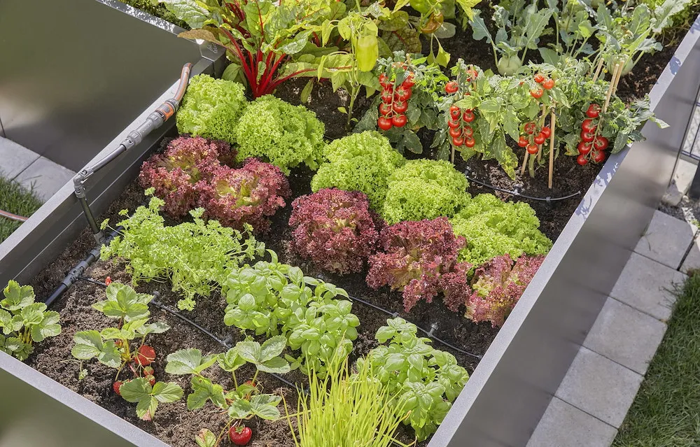 Micro-Drip-System Verschluss-
