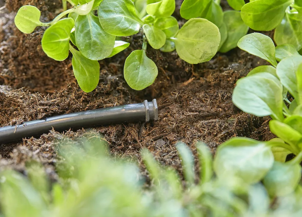 Micro-Drip-System Verschluss-