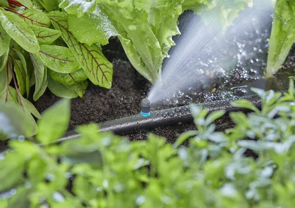 Micro-Drip-System