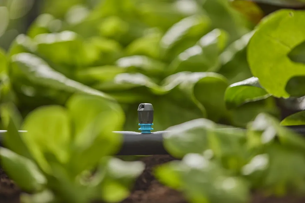 Micro-Drip-System
