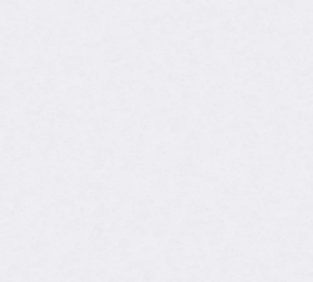 Vliest.Thermowall 10,05x0,53cm