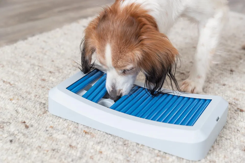 DogActivSt&auml;bspRodBoard,Kunstst