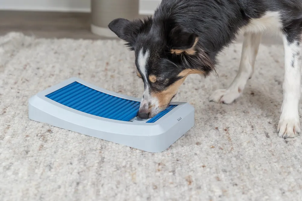 DogActivSt&auml;bspRodBoard,Kunstst