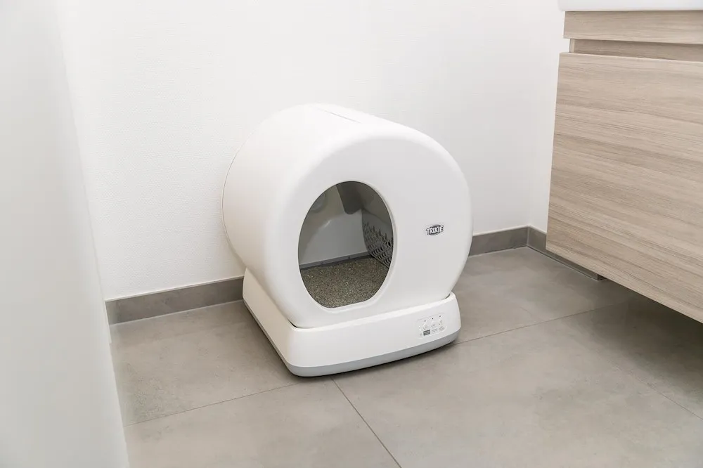 SelbstreinKatzentoilet,Kunstst