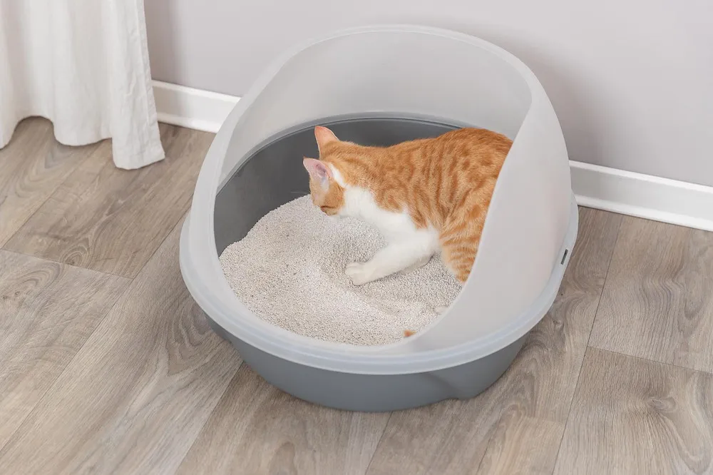 Katzentoilette Simao,hoherRand