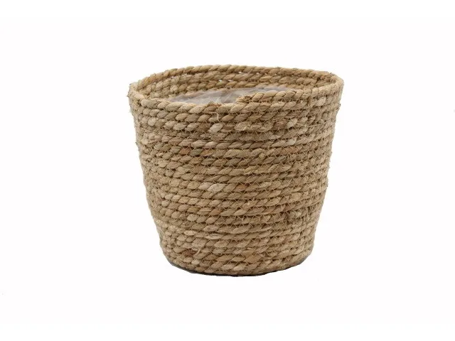 Pot Seagrass Natural