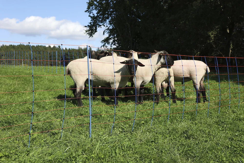 TitanNet Premium, 50m,