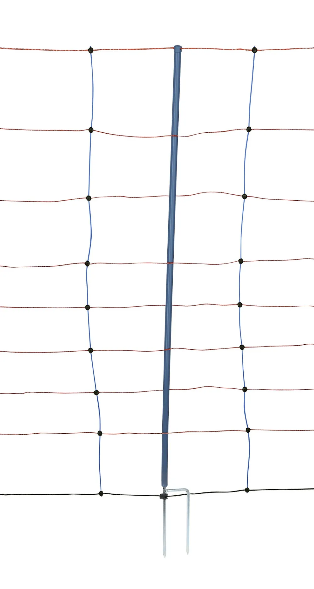 TitanNet Premium, 50m,