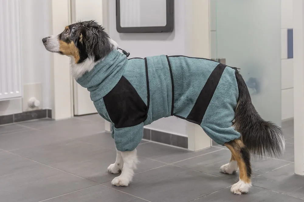 Bade- & Hausoverall f&uuml;r Hunde
