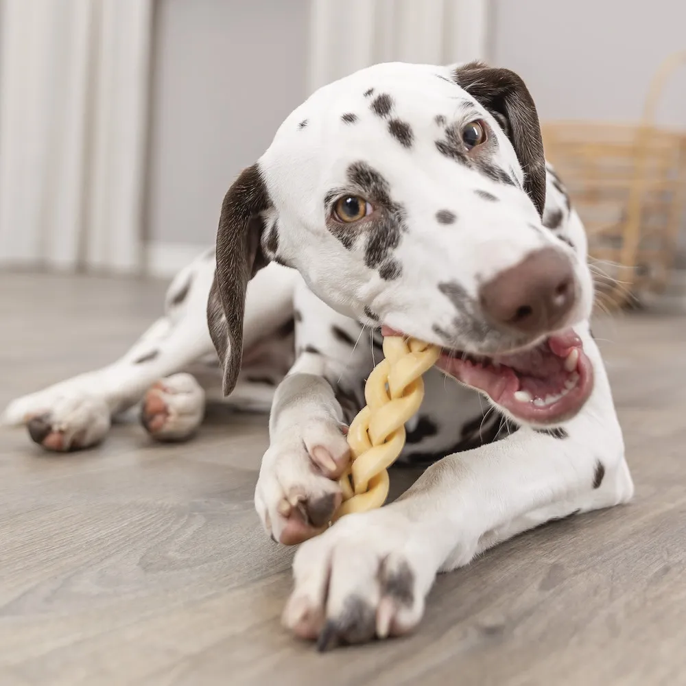 B&uuml;ffelkopfhaut, geflochten,