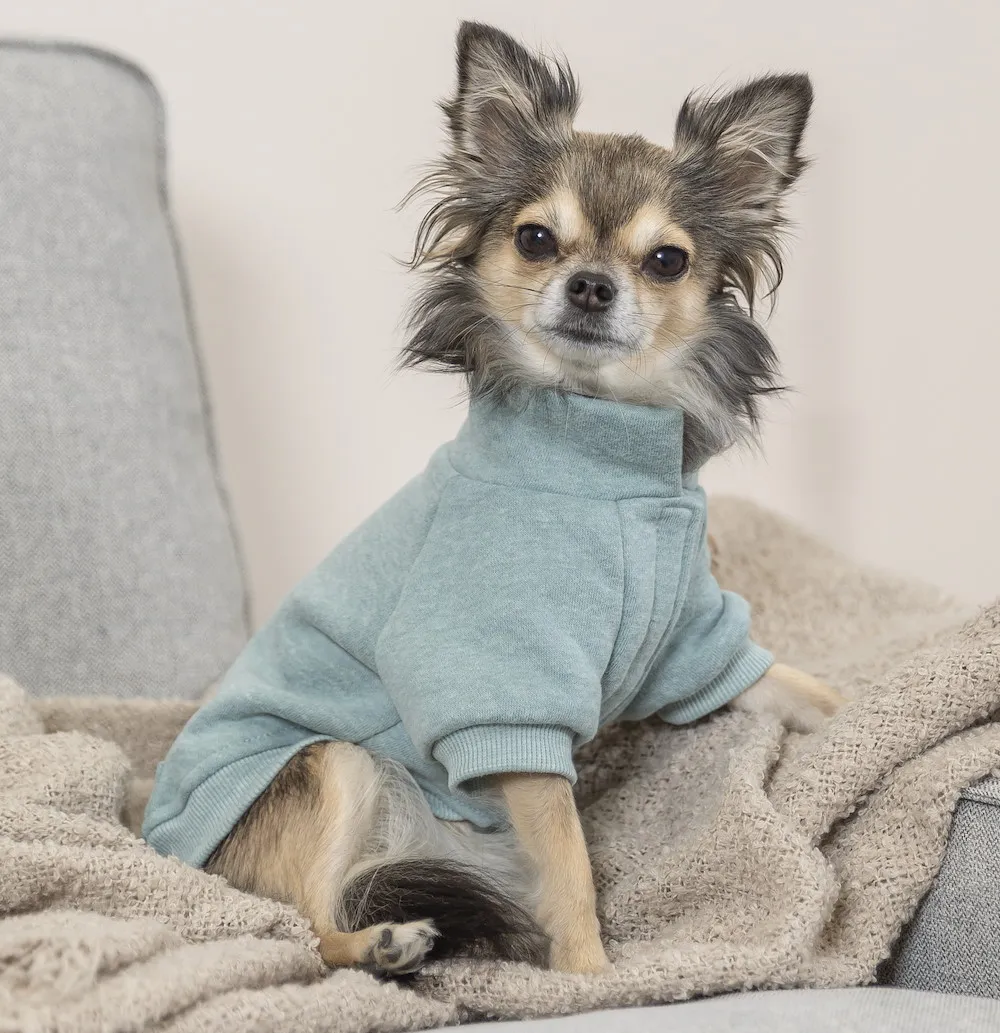 Sweatshirt Littleton