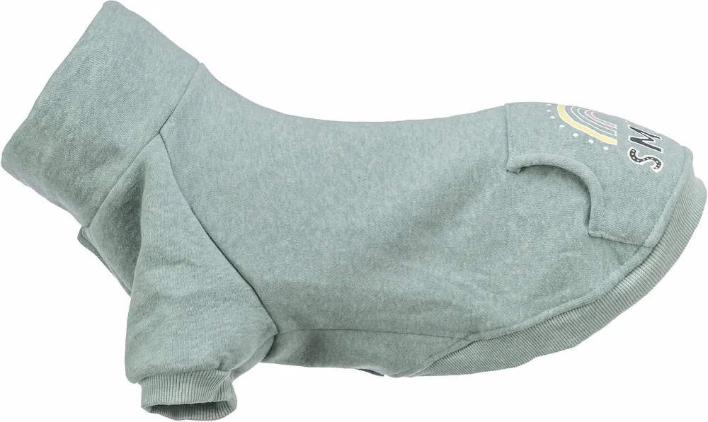 Sweatshirt Littleton