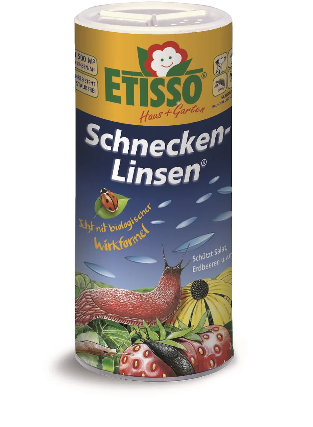 Etisso Schnecken-Linsen mit