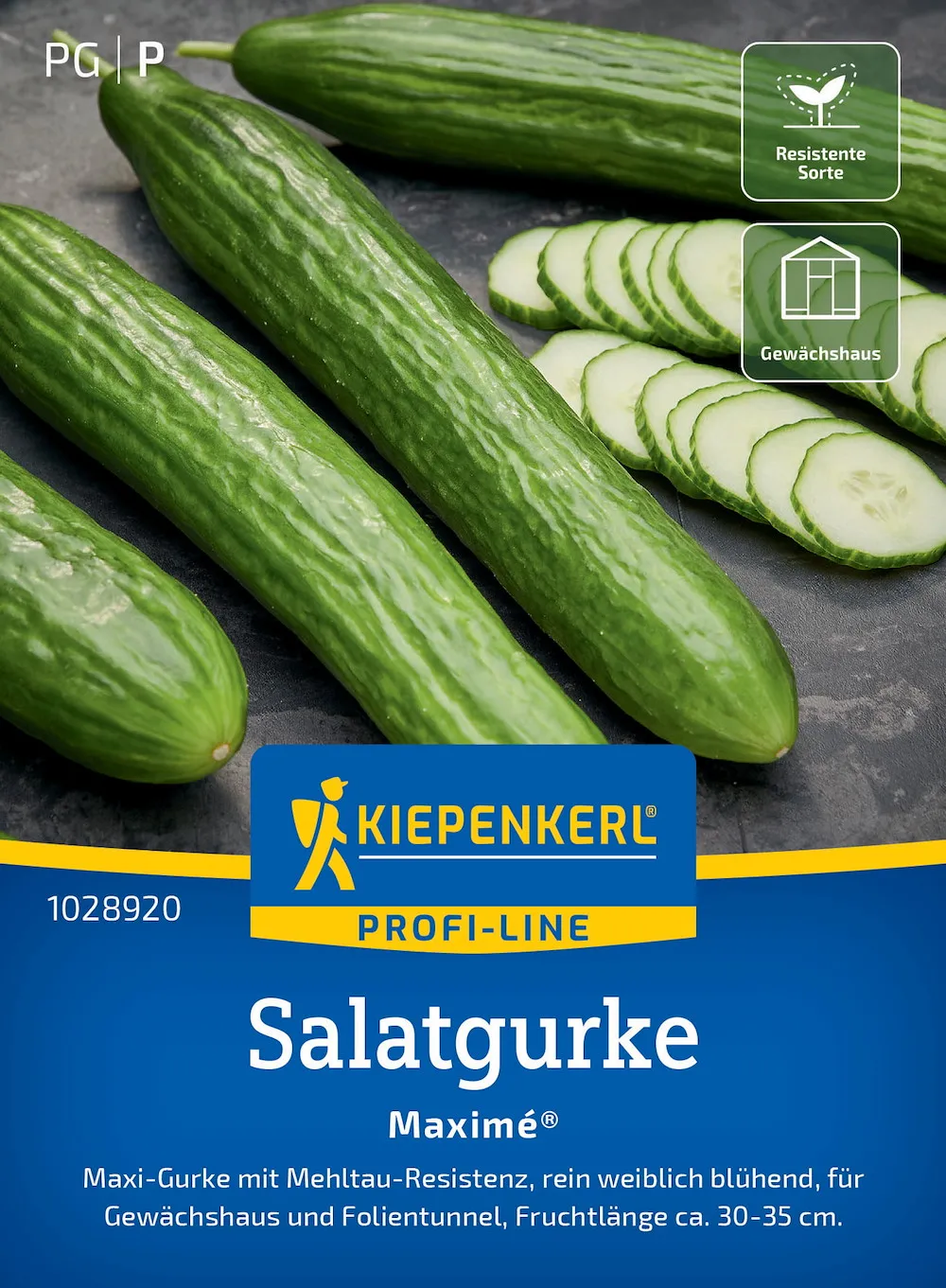 Salatgurke Maxim &reg;, F1