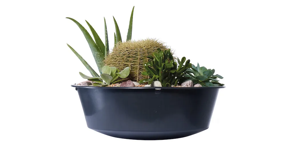VASO 2in1 Decor Regenspeicher