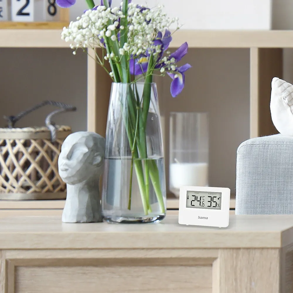 Thermo-/Hygrometer ''Ebro''