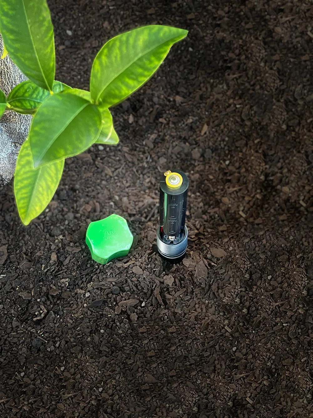 Gardigo Maulwurf-Abwehr