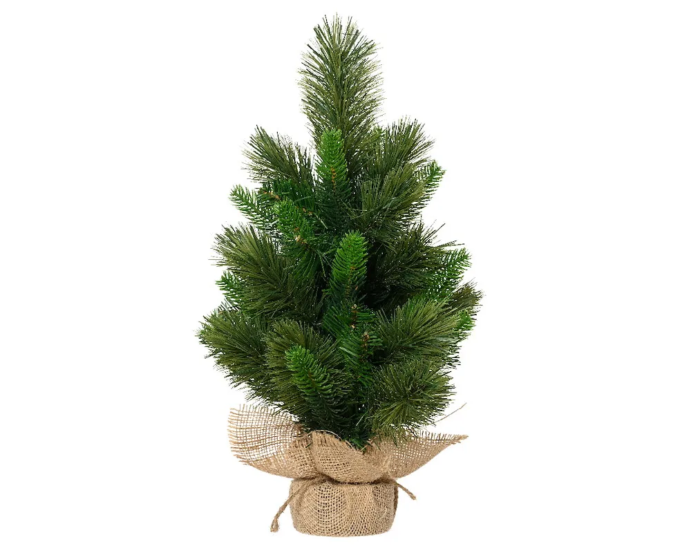 Edmonton Spruce,dia33-H45cm