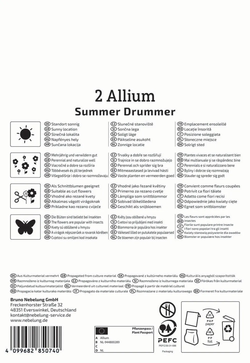 Zierlauch Summer Drummer