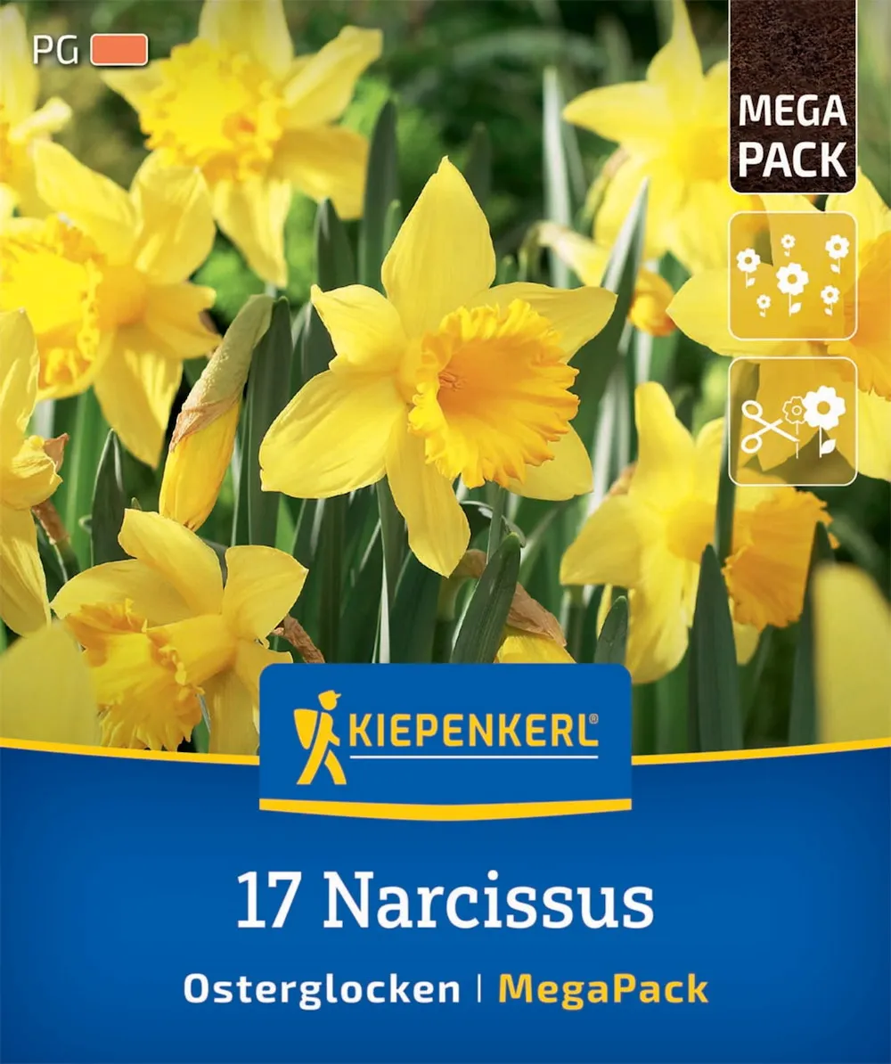 Mega-Pack Narzissen Oster-