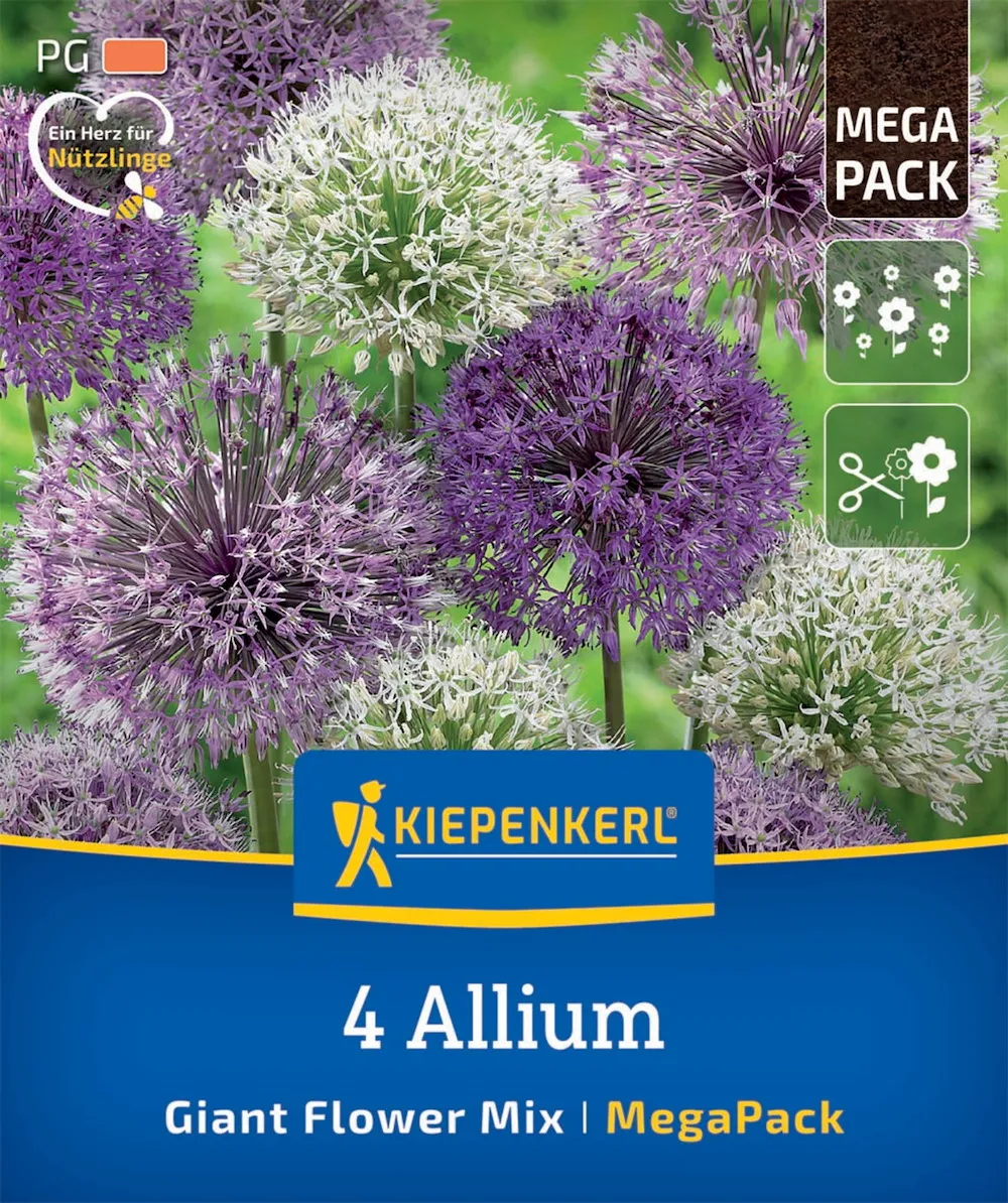 Mega-Pack Zierlauch Gro&szlig;blum.