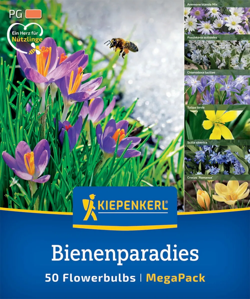 Mega Pack Bienenparadies